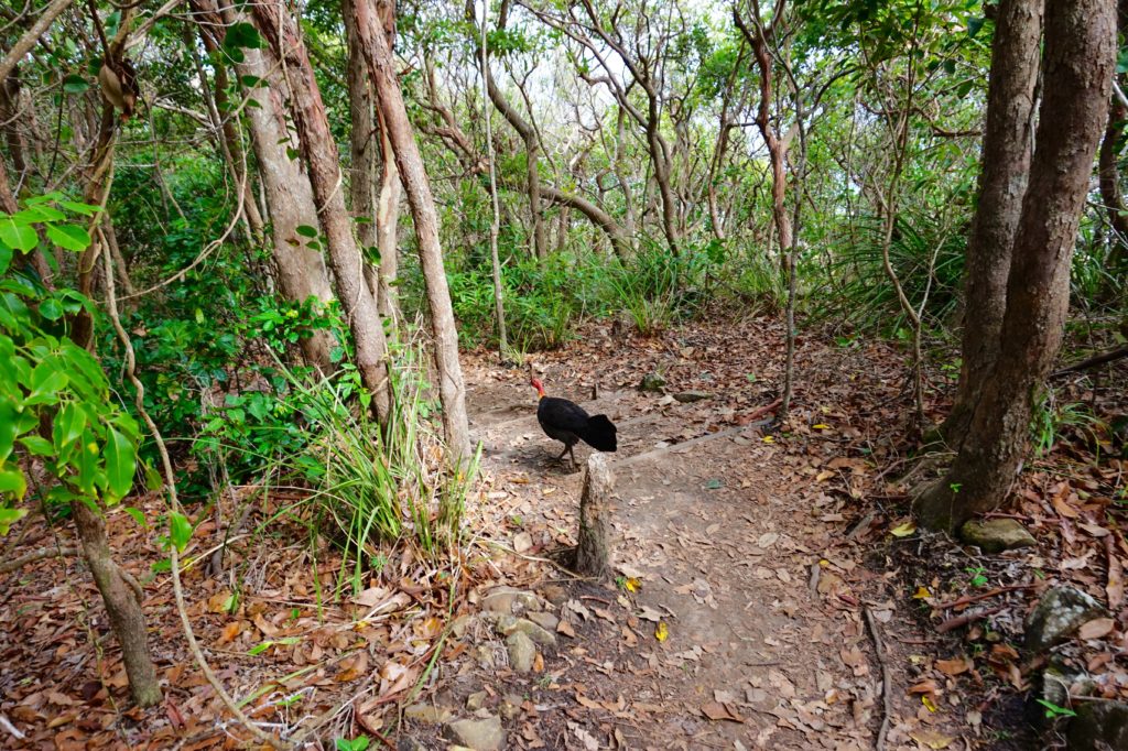 Byron Bay, Australia hiking