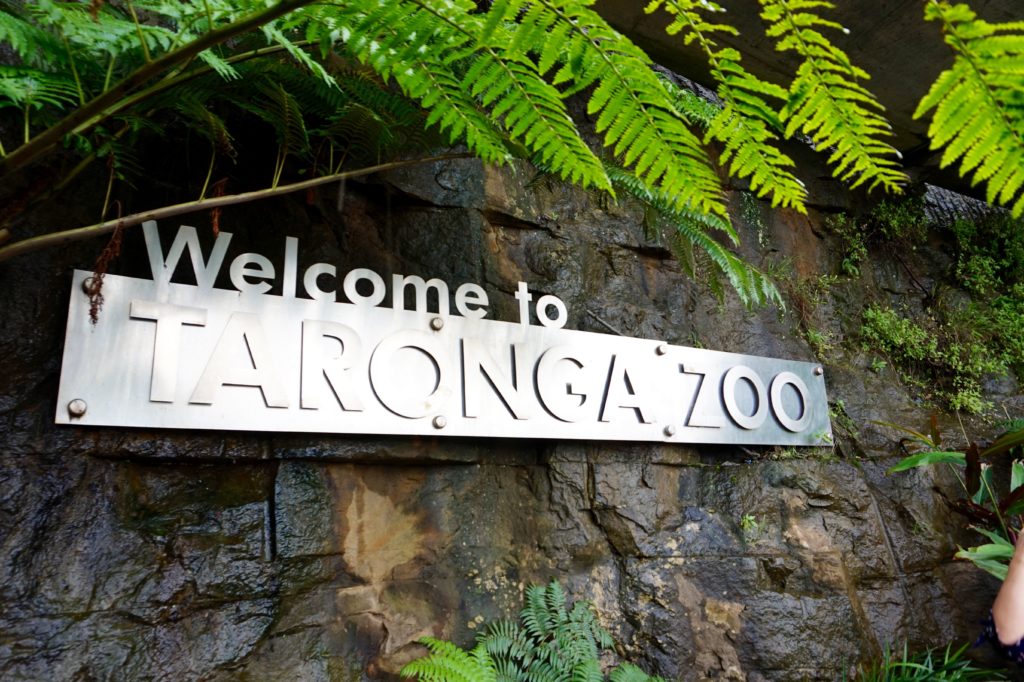 Travel Diary: Taronga Zoo- Sydney, Australia 