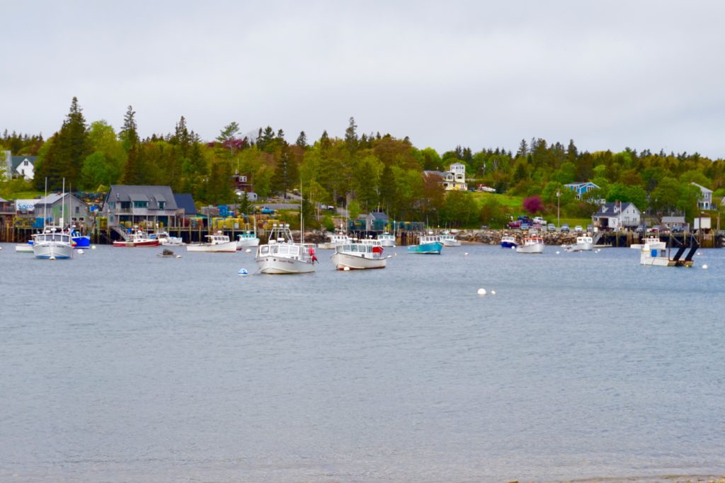 Picture-Perfect Acadia National Park