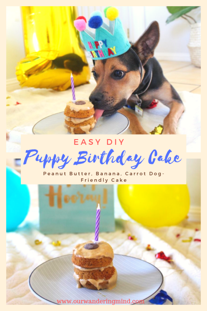 Yummy Cashew Butter and Banana Dog Birthday Cake