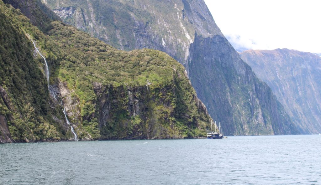 Exploring Milford Sound with Altitude Tours: New Zealand Travel Guide