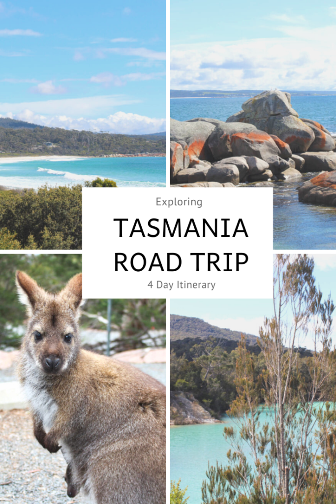 Tasmania Road Trip