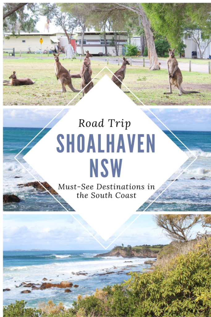 Shoalhaven, NSW Travel Guide