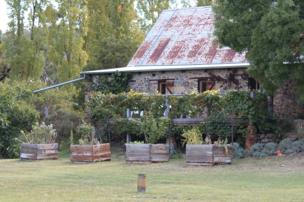 A Day Trip to the Lavandula Swiss Italian Farm - Melbourne, Australia