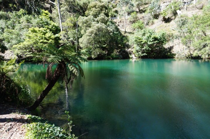 Jenolan Caves