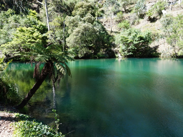 Jenolan Caves