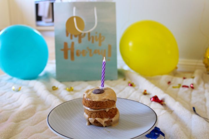 Easy DIY Puppy Birthday Cake