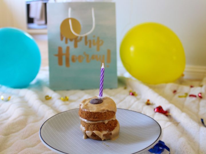 Easy DIY Puppy Birthday Cake