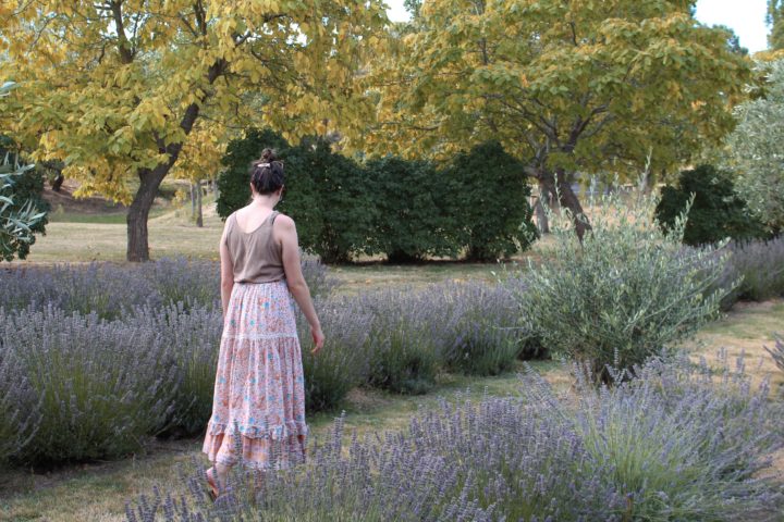 A Day Trip to the Lavandula Swiss Italian Farm - Melbourne, Australia