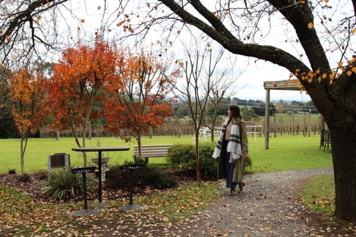 Tiny house stay in Gippsland